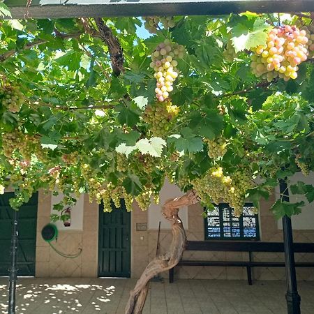 Argamasilla de Alba Casa Rural La Del Alba Seria מראה חיצוני תמונה