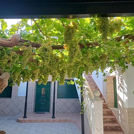 Argamasilla de Alba Casa Rural La Del Alba Seria מראה חיצוני תמונה