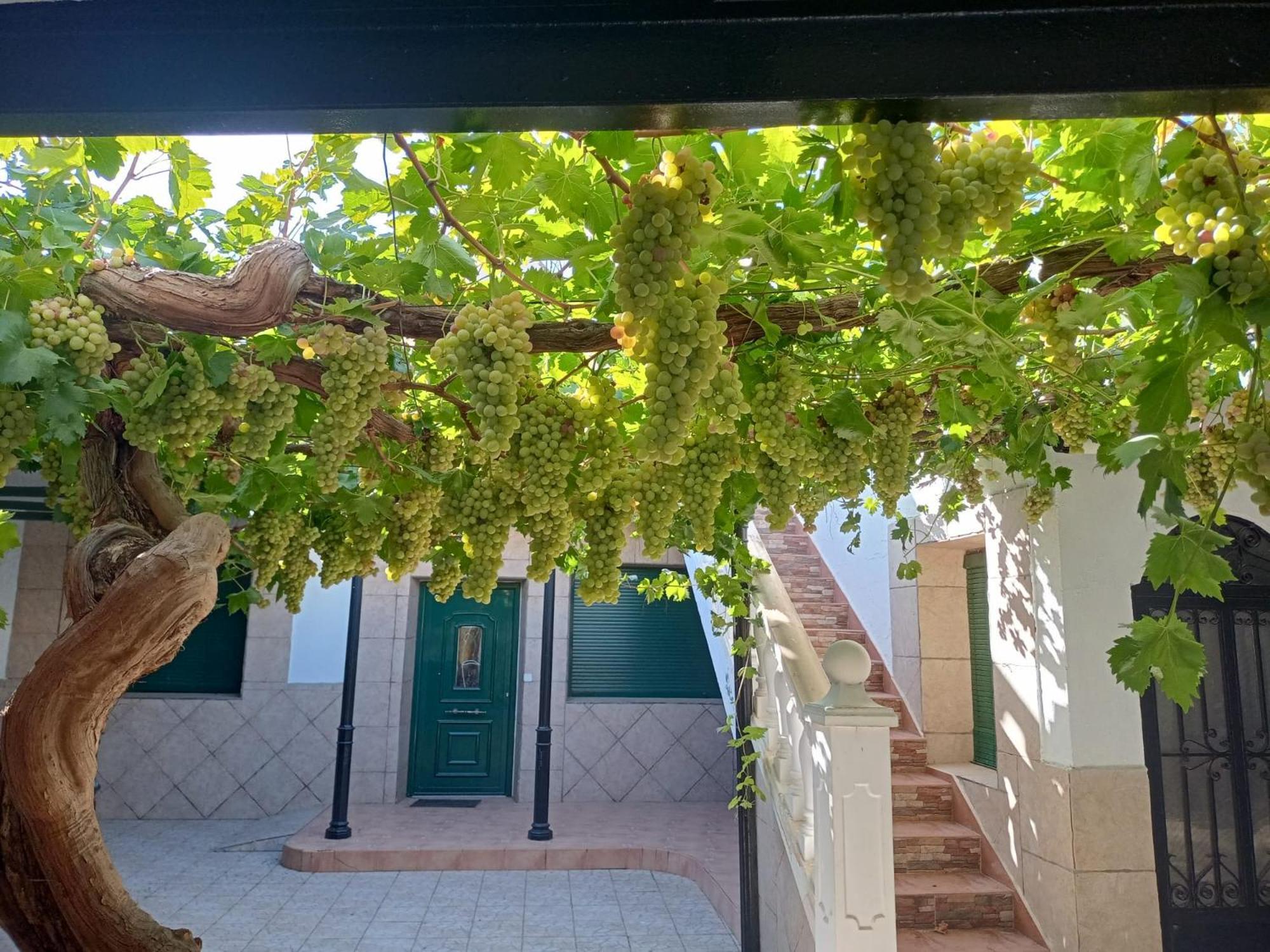 Argamasilla de Alba Casa Rural La Del Alba Seria מראה חיצוני תמונה